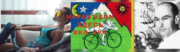 дурь Михайловка