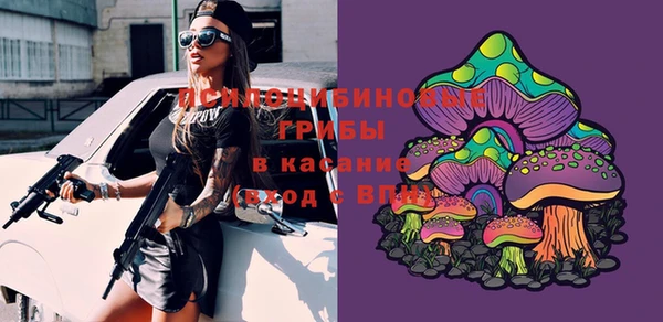 дурь Михайловка