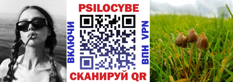 Псилоцибиновые грибы GOLDEN TEACHER  Купить где  Ковдор 
